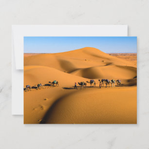 camelos no deserto sob céu azul