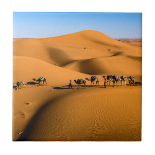 camelos no deserto sob céu azul