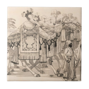 Camelos Que Andam Vestidos Em Costume