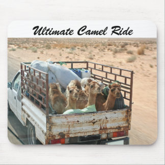 Camelos que disparam na brisa no Sahara Mousepad