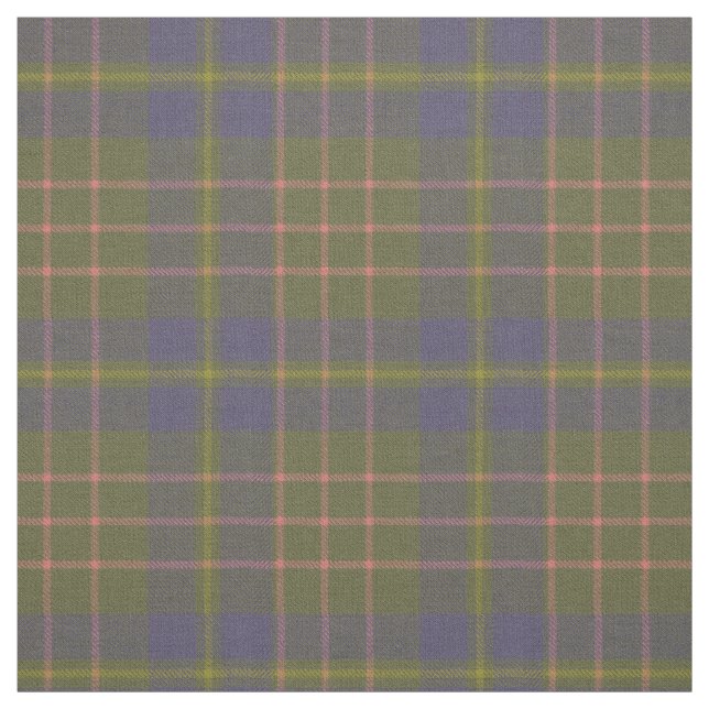 Cameron Hunting Antiga Scottish Tartan Tecido (Modelo)