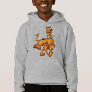 Caminhada feliz de Scooby-Doo