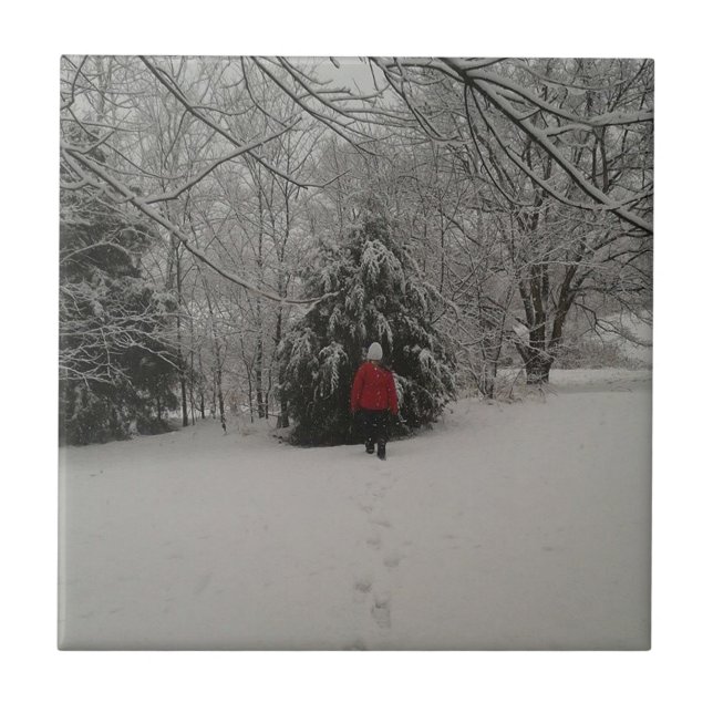 Caminhando Em Uma Maravilha De Inverno (Frente)