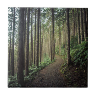 Caminhando nas montanhas Wakayama, Japão
