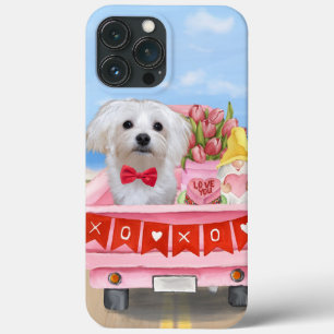 Caminhão Dia de os namorados de Cão Maltês