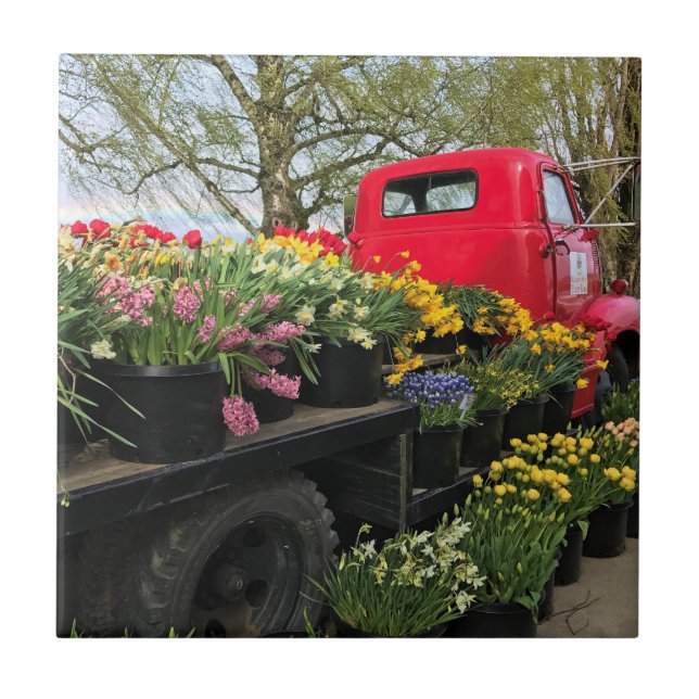 Caminhão Vermelho com Flores de primavera e Arco-Í (Frente)