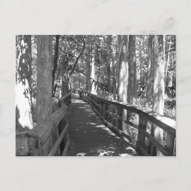 Caminhar para lembrar do Cartão Postal (Frente)