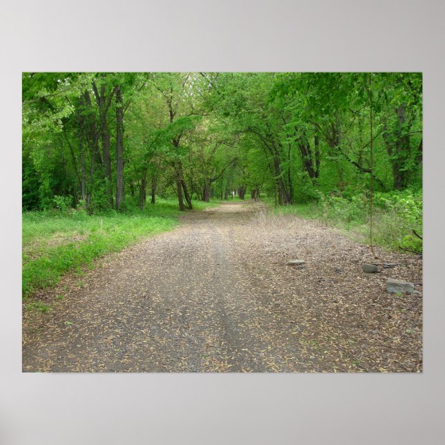 Caminhar pelo Poster do caminho (Frente)