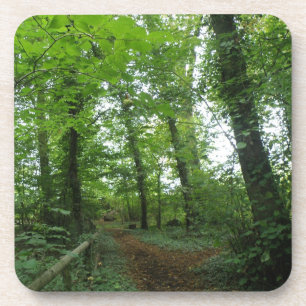 Caminho através da Porta copos de Cork Florestal