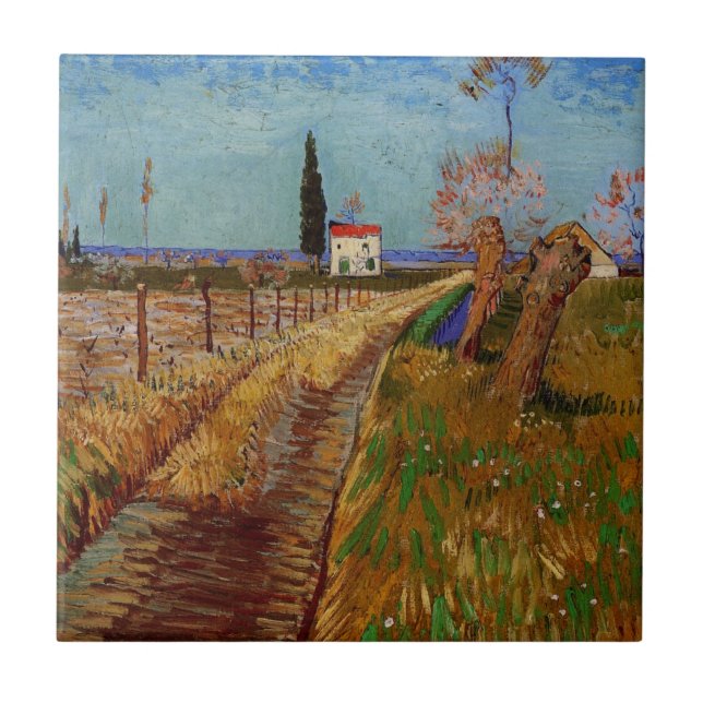 Caminho através de um campo, Willows por Vincent v (Frente)