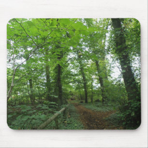 Caminho através do Mousepad da Floresta Verde