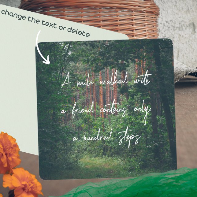 Caminho da floresta de pinheiros de Verão (Criador carregado)