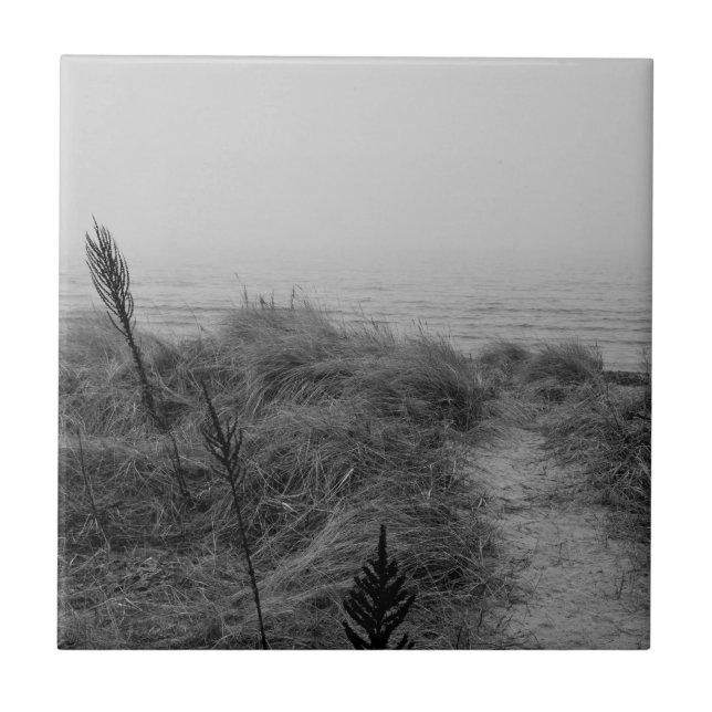 Caminho da praia (Frente)