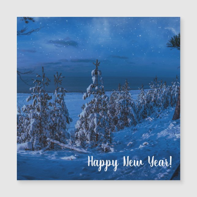 Caminho das florestas na noite de inverno (Frente)