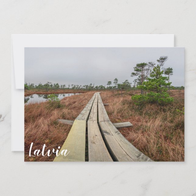 Caminho de caminhada em pântano (Frente)