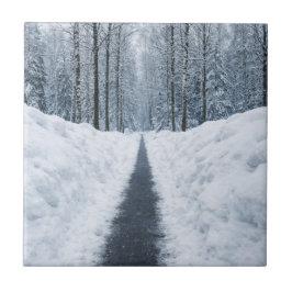Caminho de Floresta de Inverno Nebuloso Paisagem d