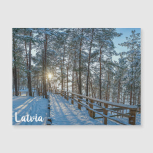 Caminho de madeira através da floresta de inverno