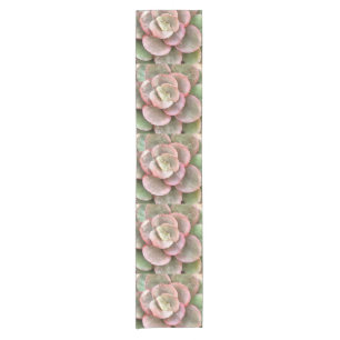 Caminho De Mesa Pequeno Echeveria Cactus - Pintura acrílica suculenta