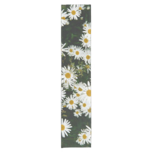 Caminho De Mesa Pequeno Margarida Branca de Oxeye, Moon Daisy Meadow