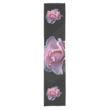 Rosa lindo do rosa no preto