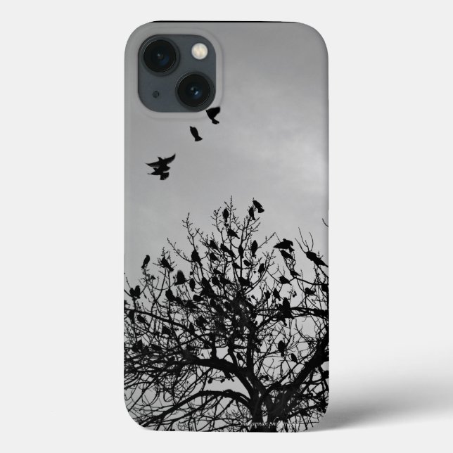 Caminho de Voo (Verso)