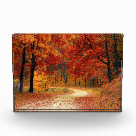 Caminho do outono através das árvores