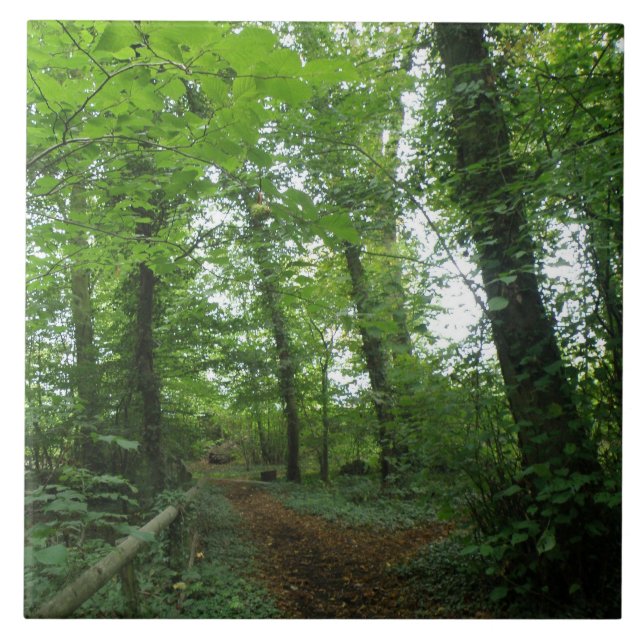 Caminho pelo Azulejo Floresta Verde (Frente)
