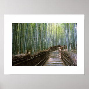Caminho pelo Bamboo: Quioto, Poster do Japão