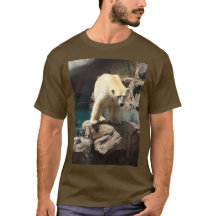 Camisa Castanho Do Urso Polar