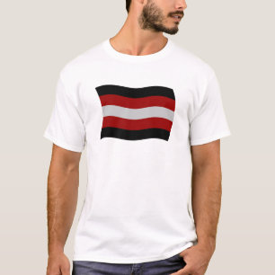 Camisa da Bandeira do Satanismo