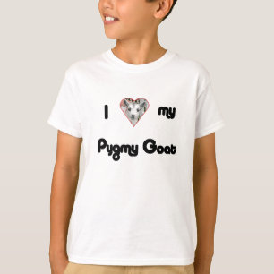 Camisa da cabra do pigmeu