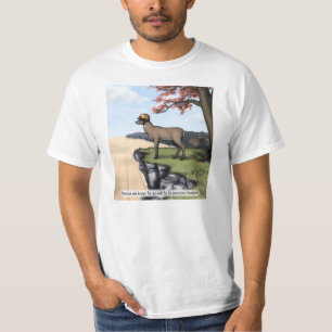 Camisa da "chapelaria"