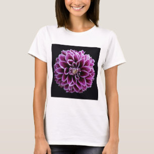 Camisa da dália