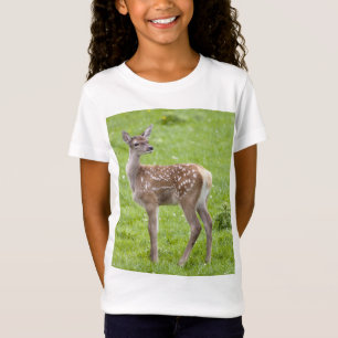 Camisa da jovem corça do veado vermelho