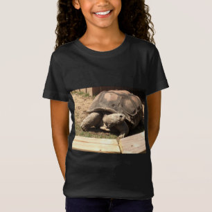 camisa da tartaruga