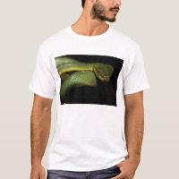 Camisa da víbora de poço T