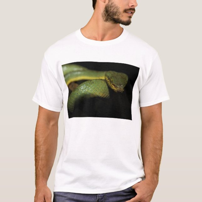 Camisa da víbora de poço T (Frente)