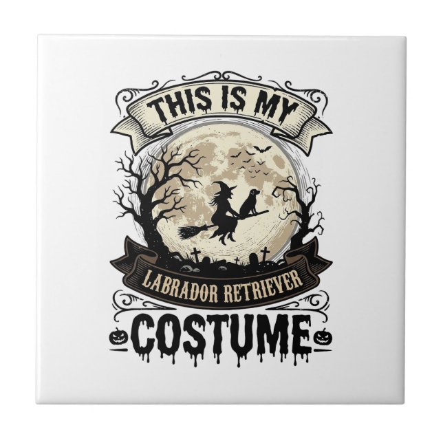 Camisa de Fantasia de Bruxa Labrador Retriever par (Frente)