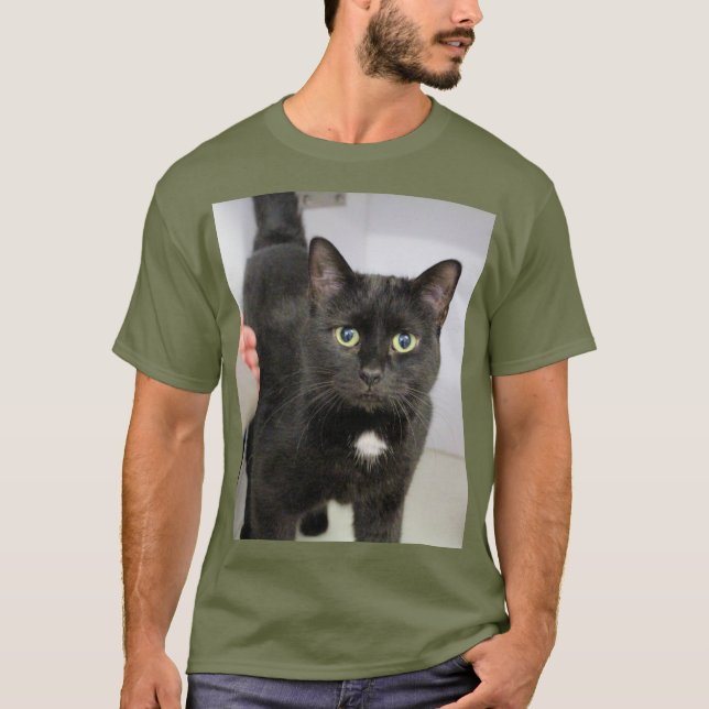 Camisa de gato (Frente)