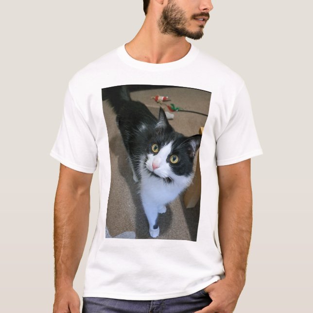 Camisa de gato-do-gato-bonito (Frente)