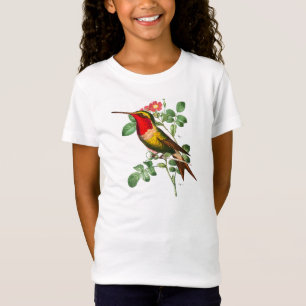 CAMISA DE HUMMINGBIRD PARA GAROTAS