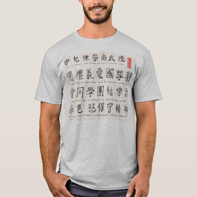 Camisa de KONFORM KUNG-FU (Frente)