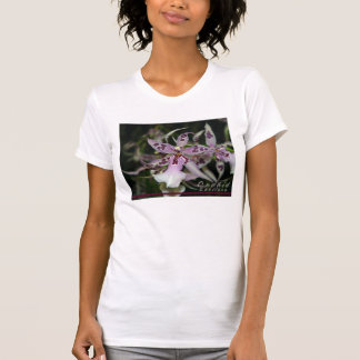 Camisa de Orquídea Beallara
