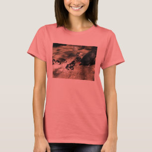 Camisa De Pintinhos De Inhéus E Bebês