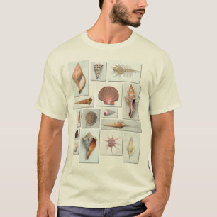 Camisa de Shell