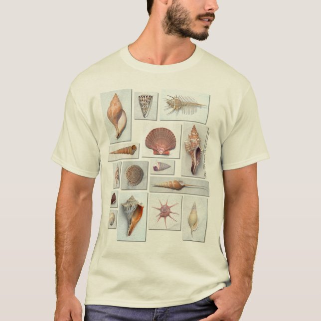 Camisa de Shell (Frente)