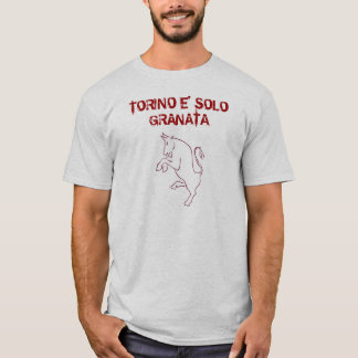 camisa de solo do granata de torino