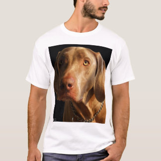 Camisa de Weimaraner
