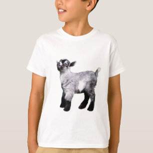 Camisa diminuta da cabra de Bably