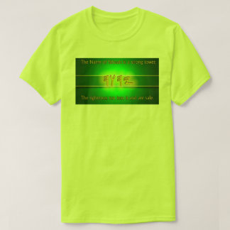 Camisa do 18:10 dos provérbio